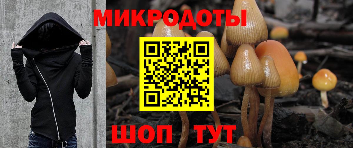 Галлюциногенные грибы Psilocybe  Вход с VPN  Орёл 